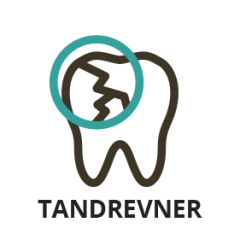 Tandrevner